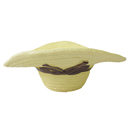 フラワーポット　麦わら帽子